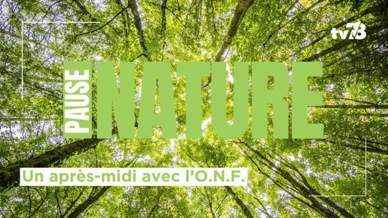 Pause Nature : un après-midi avec l’Office des forêts