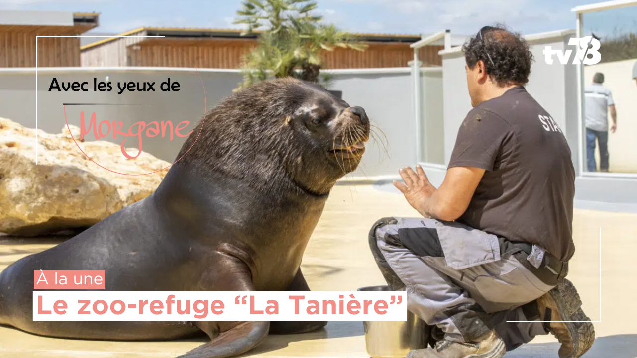 ALYDM : inclusion et médiation animale au zoo-refuge « La Tanière »