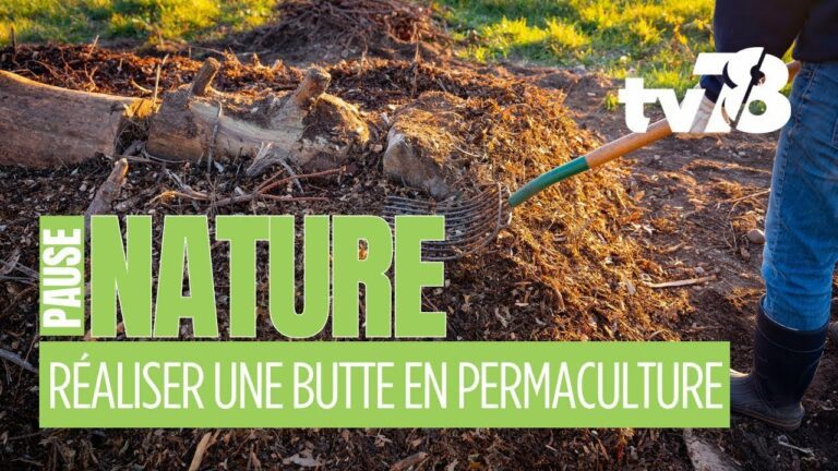 Les rendez-vous de tv78