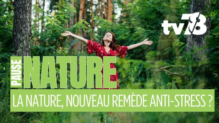 Les rendez-vous de tv78