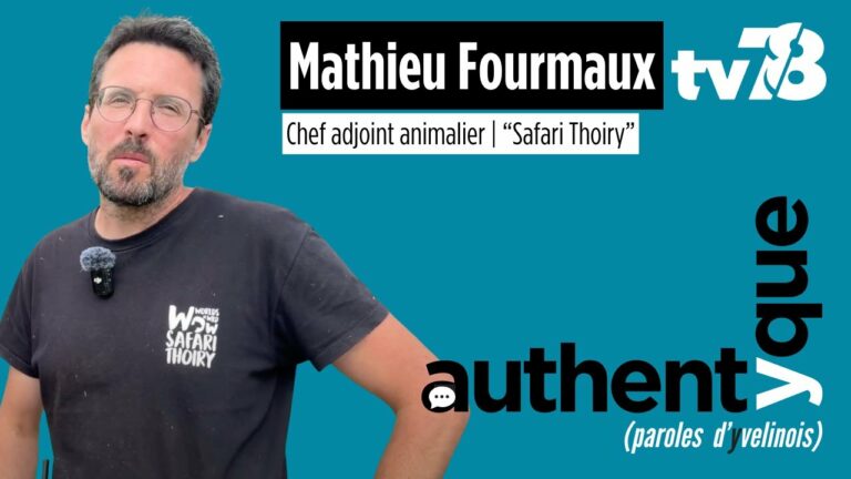 Découverte d’un métier d’exception : soigneur animalier au Safari de Thoiry
