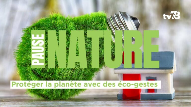 Des astuces pour économiser et protéger la planète avec l’éco-appart