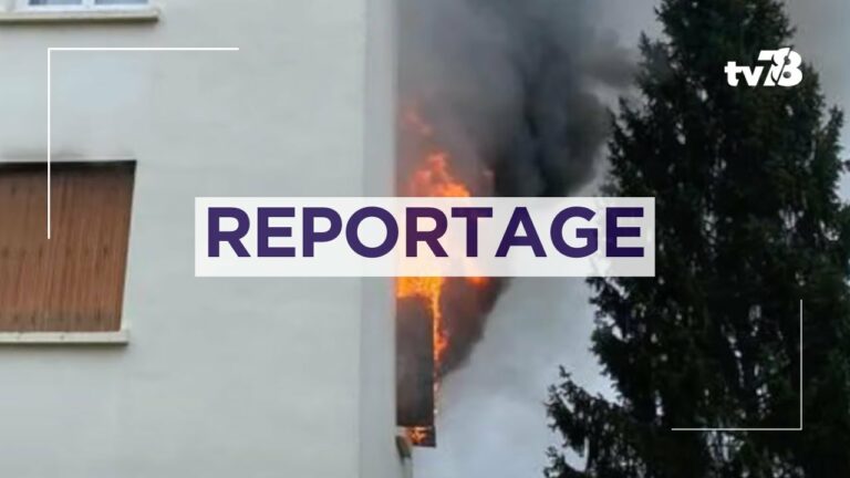 Trottinettes électriques : les pompiers alertent sur les dangers des batteries au lithium