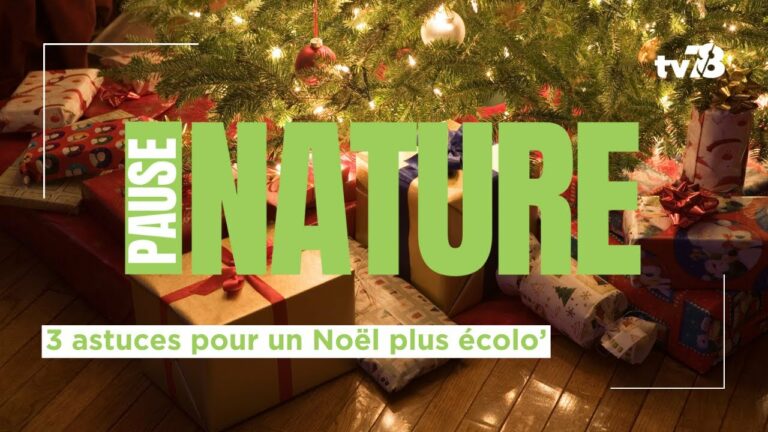 Trois astuces pour un Noël écologique