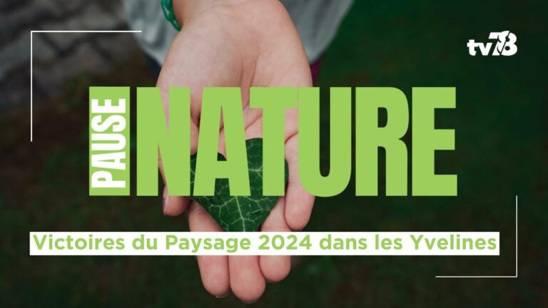 Les rendez-vous de tv78