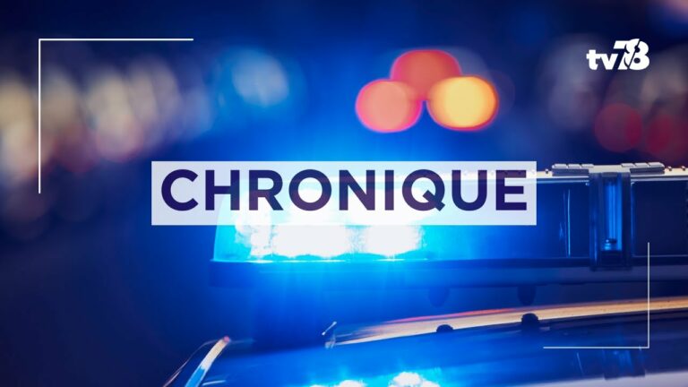 Yvelines : Cyberespace, saisies des biens de narcotrafiquants… l’État renforce son plan contre le trafic de drogue