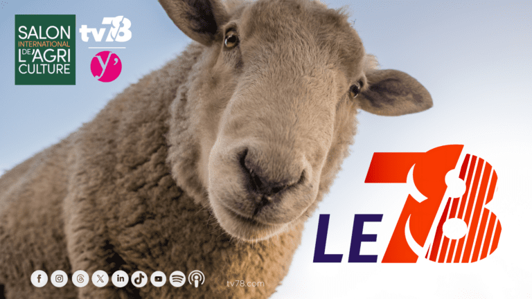 Les rendez-vous de tv78