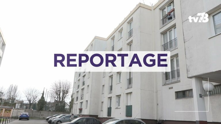 Les Clayes-sous-Bois : les locataires du Moulin Vert vivent un enfer