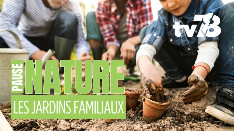 Jardins familiaux à Montigny-le-Bretonneux : cultiver bien plus que des légumes