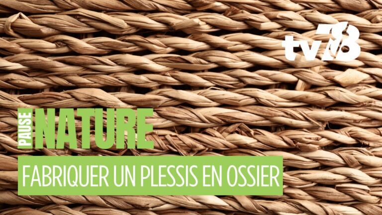 Fabriquer un plessis en osier avec Boémon Flamand à Mareil-Marly : un savoir-faire durable au jardin