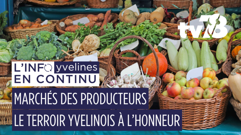 Marchés des Producteurs 2025 dans les Yvelines : dates, lieux et produits locaux à découvrir