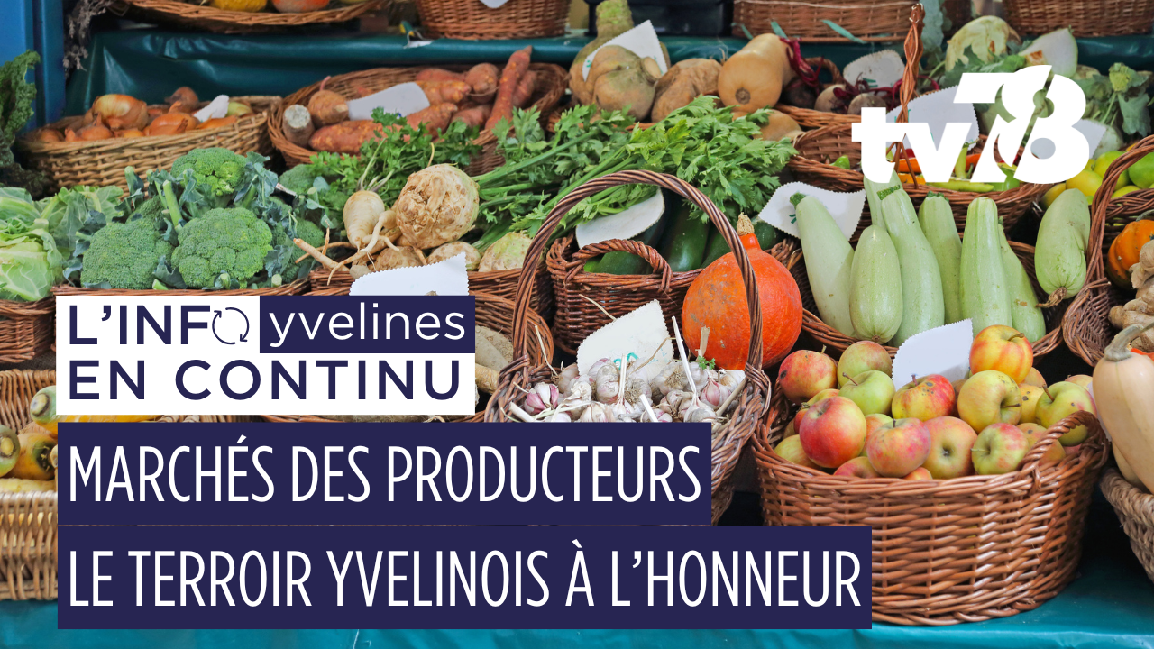 Marchés des Producteurs 2025 dans les Yvelines : dates, lieux et produits locaux à découvrir