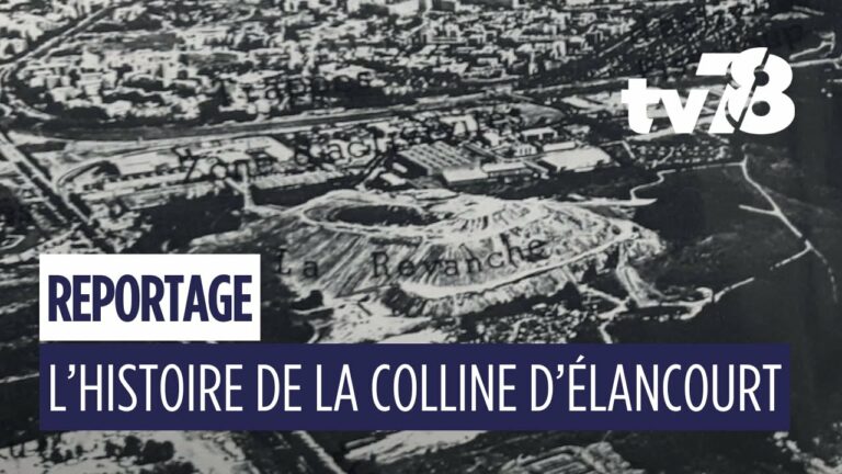 Colline d’Élancourt : connaissez-vous l’histoire du point culminant d’Île-de-France ?