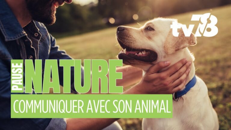 Comment communiquer avec les animaux : l’approche bienveillante de « NaturAnimal » à Maisons-Laffitte
