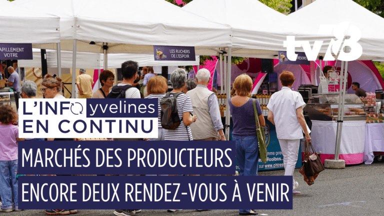 Marchés des producteurs dans les Yvelines : quand le local devient une fête