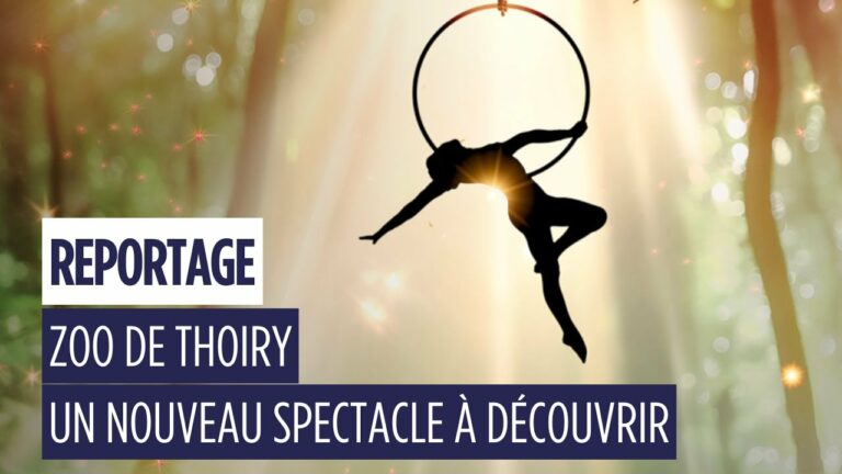 Komorebi : un spectacle poétique pour petits et grands au Wow Safari Thoiry