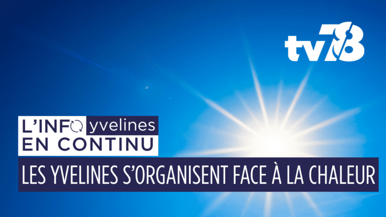 Canicule : les Yvelines en alerte rouge, quelles mesures ?