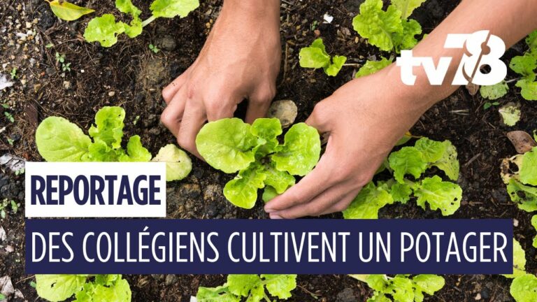 A Villepreux, les collégiens cultivent leur jardin