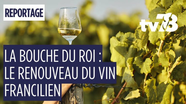 La Bouche du Roi : un domaine viticole d’exception au cœur des Yvelines