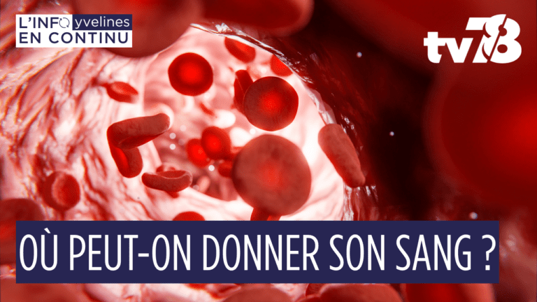 Don du sang dans les Yvelines : un geste simple qui sauve des vies