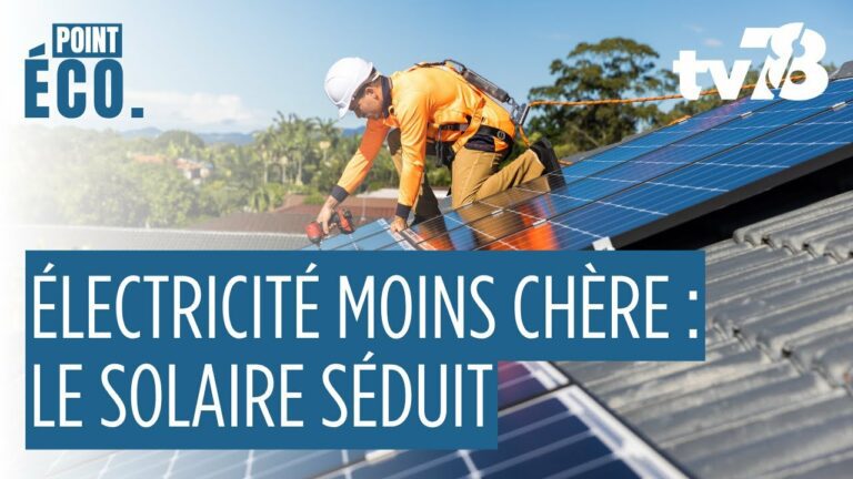 Énergie renouvelable : pourquoi de plus en plus de foyers des Yvelines passent au solaire