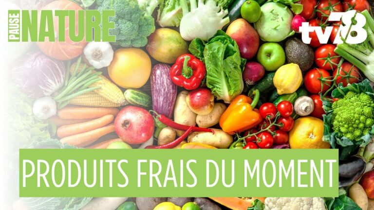 À la Clairière Paysanne de Magny-les-Hameaux, l’automne se prépare dans les champs