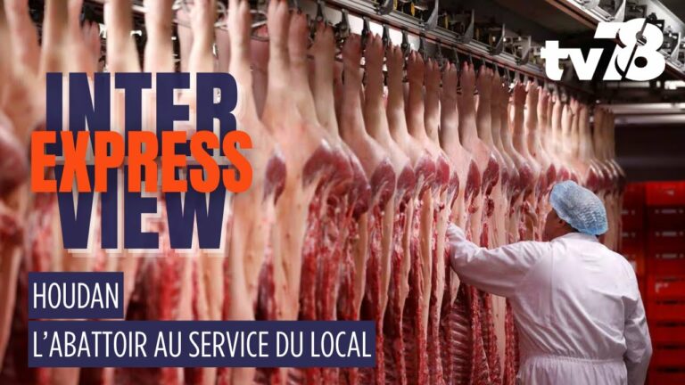 Houdan : l’abattoir porcin se modernise pour promouvoir les circuits courts