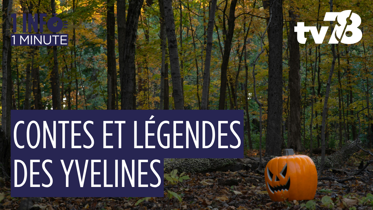Contes et légendes des Yvelines : entre mystères, fées et phénomènes étranges