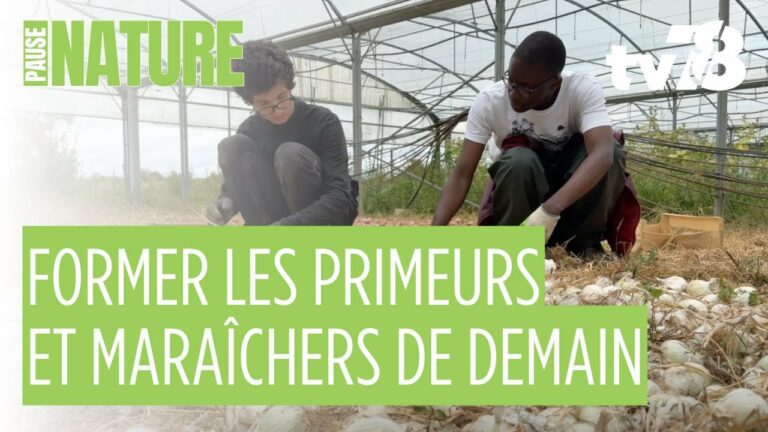 Ferme École Graine d’Avenir : former les agriculteurs de demain dans les Yvelines