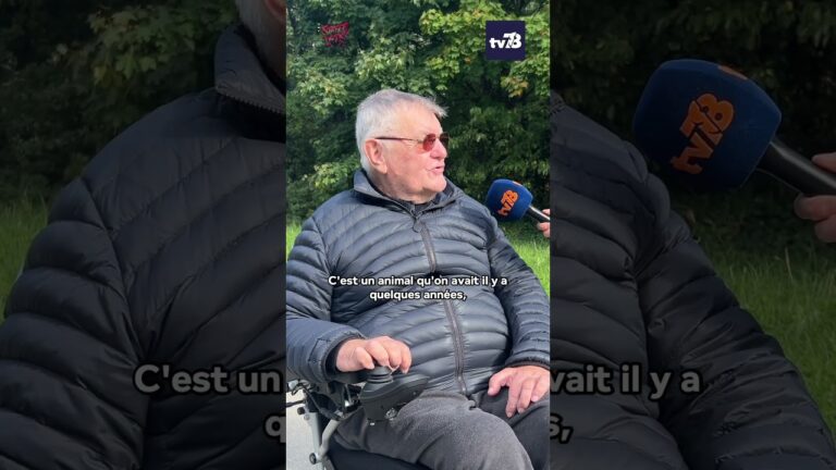 Journée internationale des animaux et Semaine nationale du chien : les Yvelinois témoignent