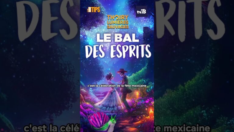 Vacances dans les Yvelines : trois activités à ne pas manquer cet automne