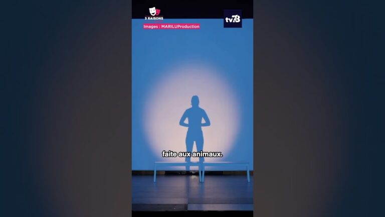 La Verrière : « Vague à larmes » contre la radicalisation