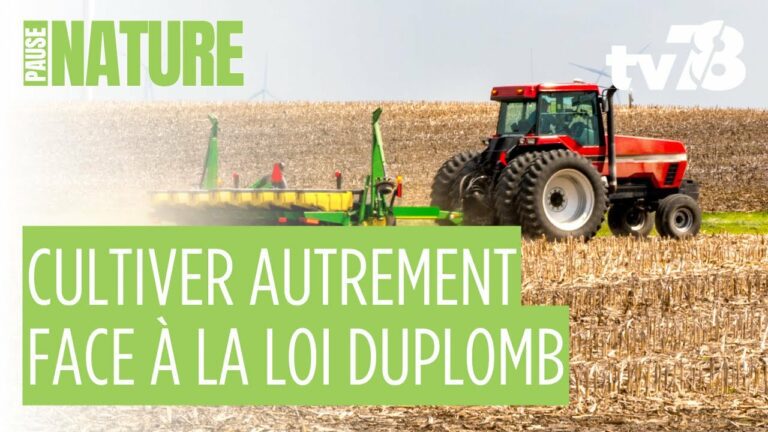 Yvelines : au Jardin Edulis, l’agroécologie comme modèle d’avenir