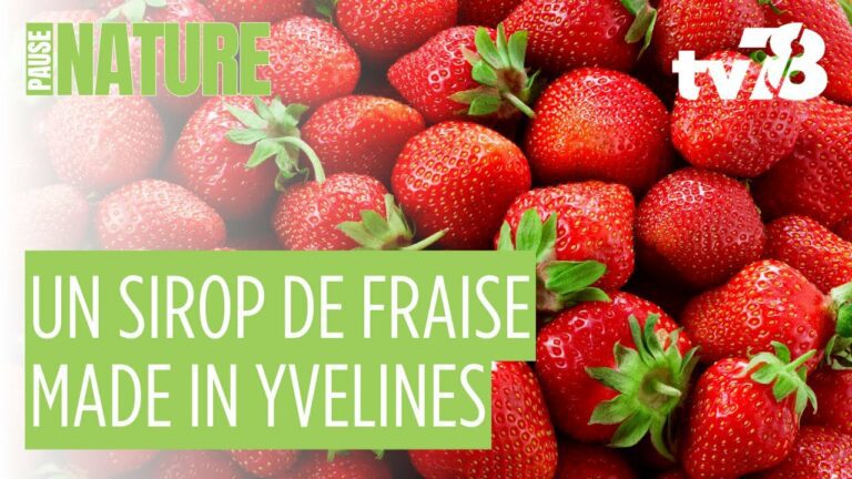 Les fraises bio des Jardins de Nana deviennent un sirop artisanal à Feucherolles