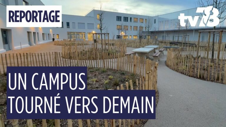 À Sartrouville, une nouvelle cité scolaire pour relier maternelle, primaire et collège