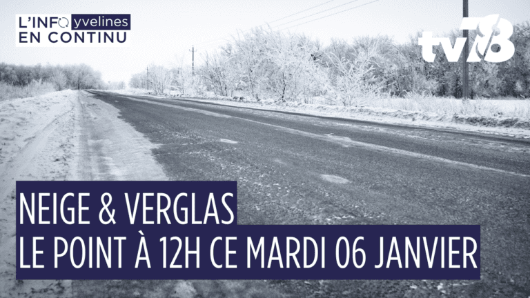 Neige en Île-de-France : le point sur la circulation ce mardi 6 janvier