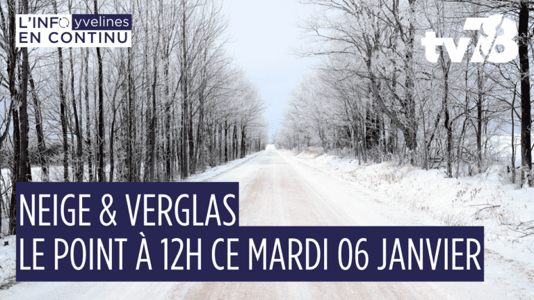 Neige en Île-de-France : le point sur la circulation ce mardi 6 janvier