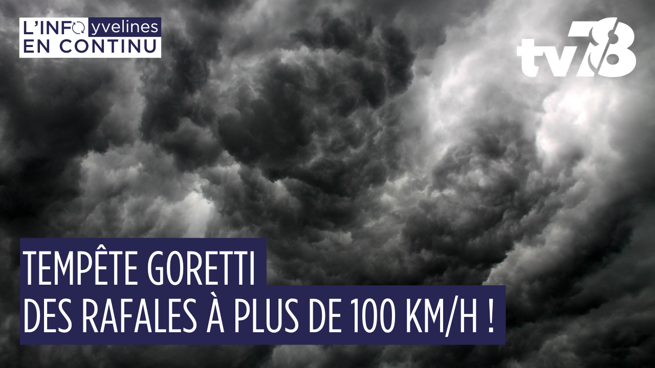 Tempête Goretti : des rafales à plus de 100 km/h dans les Yvelines