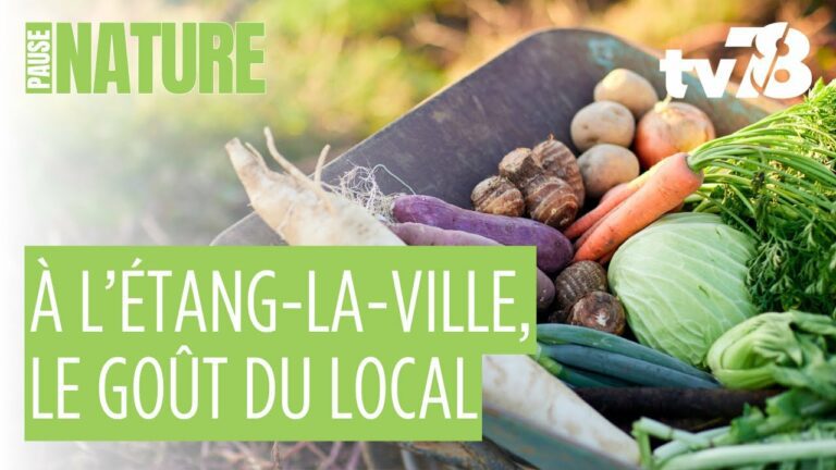 Les rendez-vous de tv78