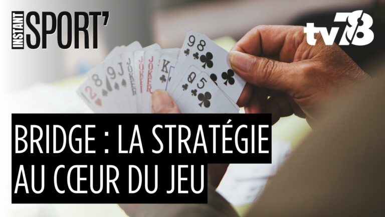 Le bridge : un sport cérébral qui joue sa carte dans les Yvelines