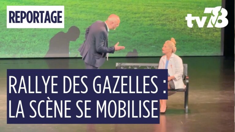 Bois-d’Arcy : une soirée théâtre au profit des Gazelles à l’Horizon et d’Ambulance des Rêves