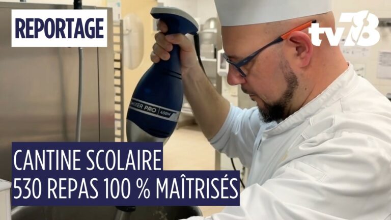 Cantine scolaire : 530 repas par jour et 30 % de produits locaux au collège André Derain à Chambourcy