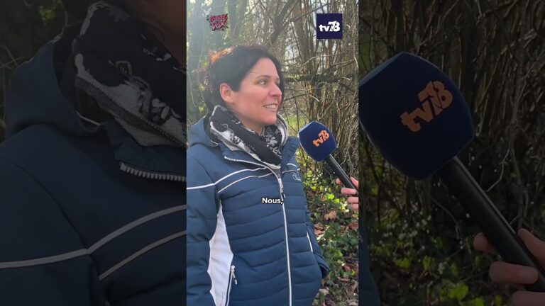 Saint-Valentin : ce week-end, nous sommes allés interroger les Yvelinois