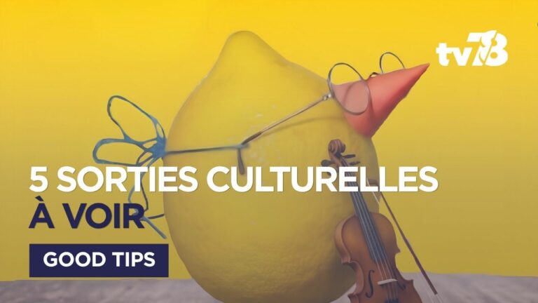 5 idées de sorties culturelles dans les Yvelines du 27 mai au 3 juin 2026