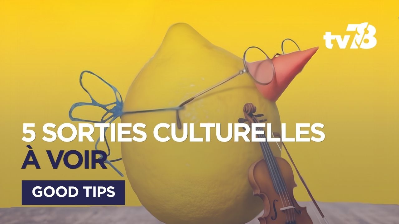 5 idées de sorties culturelles dans les Yvelines du 27 mai au 3 juin 2026