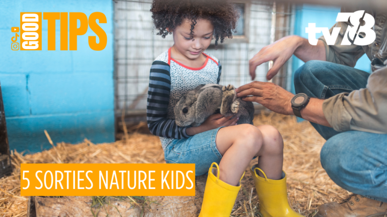 Agenda enfants Yvelines : 5 sorties nature à faire du 12 au 20 mai 2026