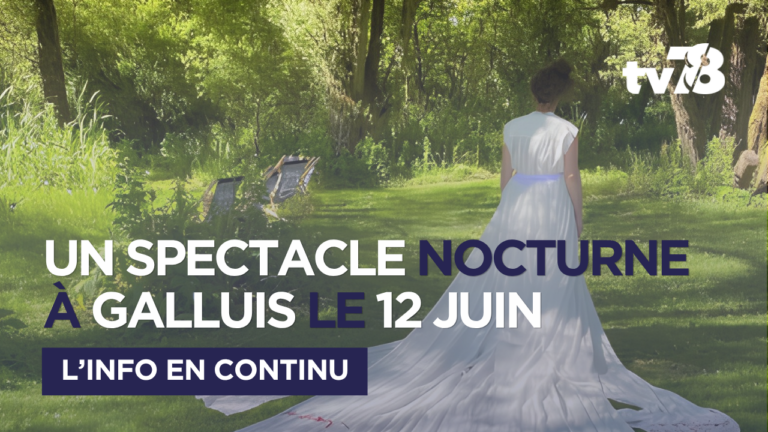 Arts de rue : « Le Jardin des proies » plonge Galluis dans la nuit