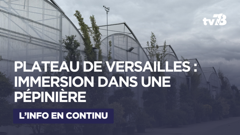 Dans les serres du Plateau de Versailles
