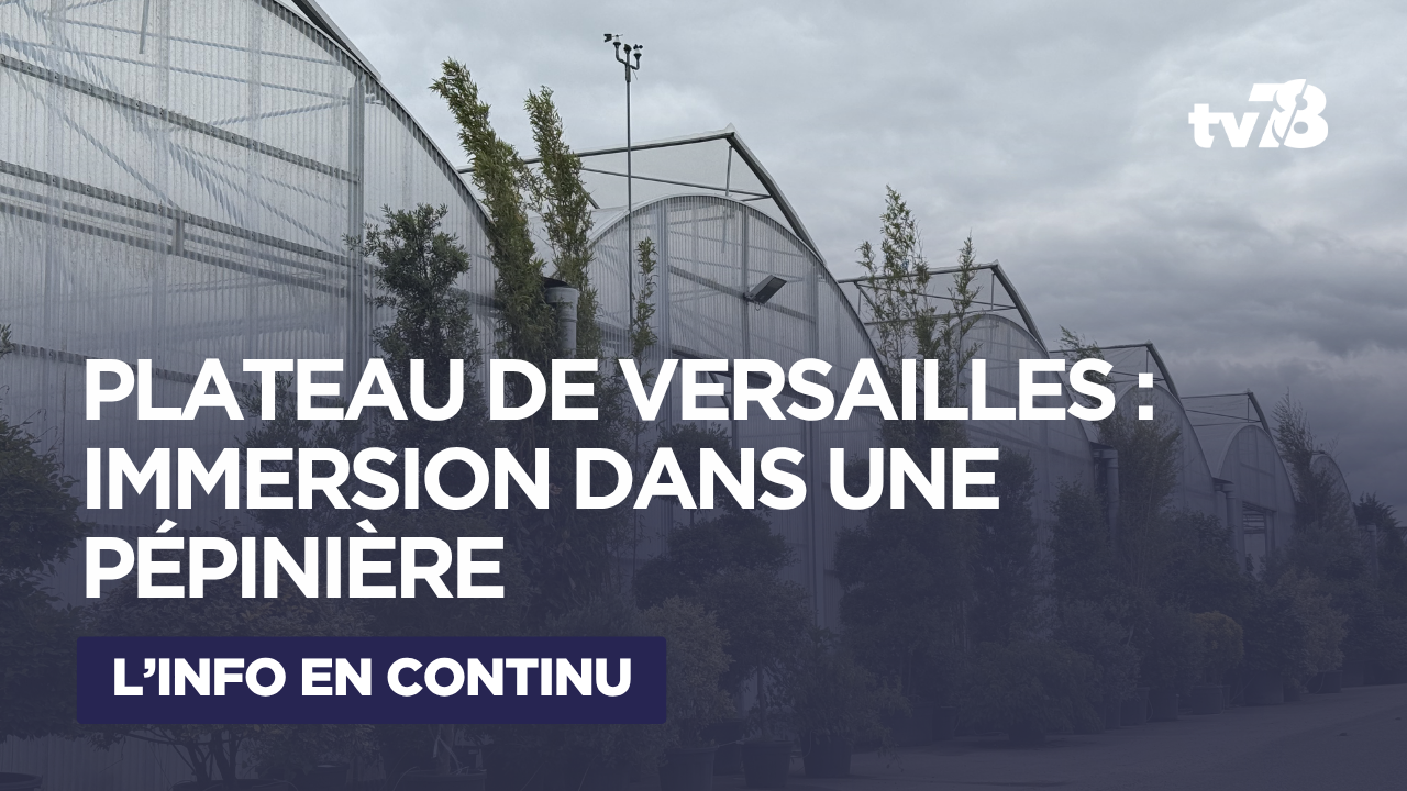 Dans les serres du Plateau de Versailles
