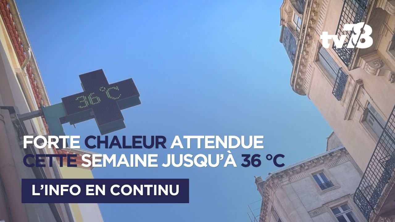 Yvelines : une deuxième vague de chaleur attendue avec des pointes jusqu’à 36 °C cette semaine
